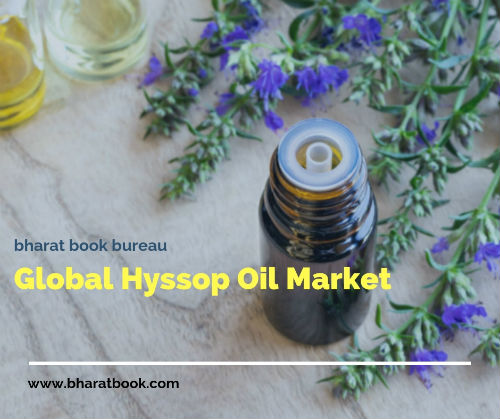 Global Hyssop Oil