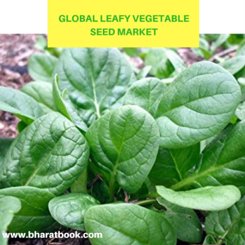 global leafy vegetable seed