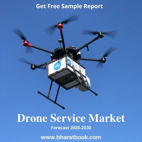 Drone Service Market