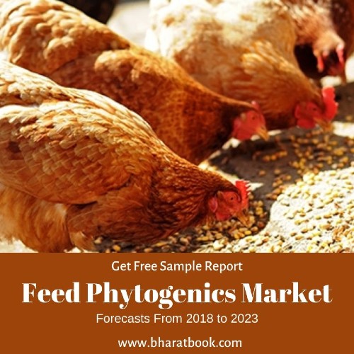 Feed Phytogenics Market
