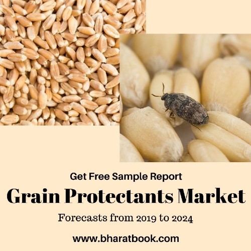 Grain Protectants Market