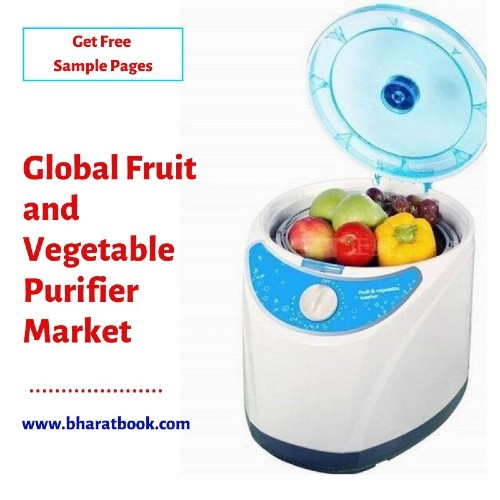 Global Fruit and Vegetable Purifier Market