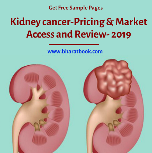 Kidney cancer Market 2019