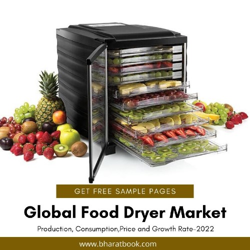 Global Food Dryer Market