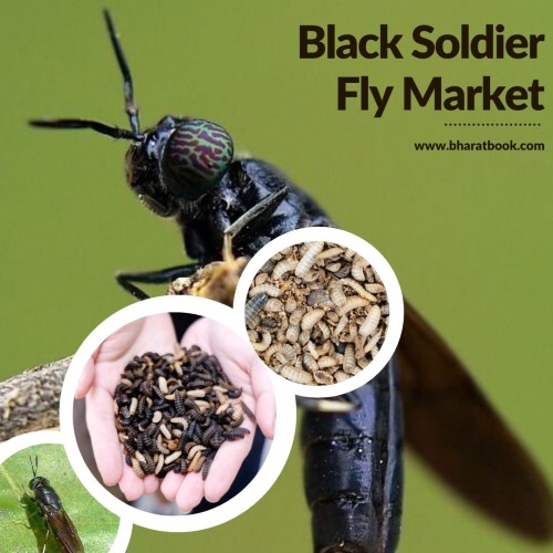 Black Soldier Fly Market - Bharat Book Bureau