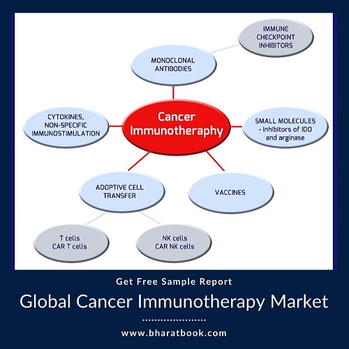 Global Cancer Immunotherapy Market -BBB