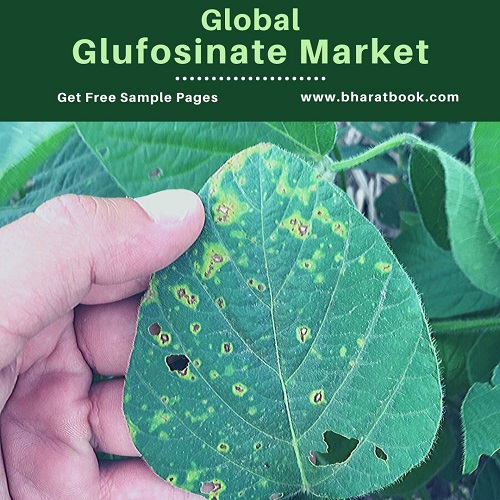 Global Glufosinate Market - BBB