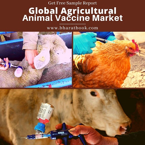 Global Agricultural Animal Vaccine Market -BBB