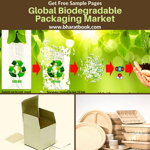 Global Biodegradable Packaging Market - BBB