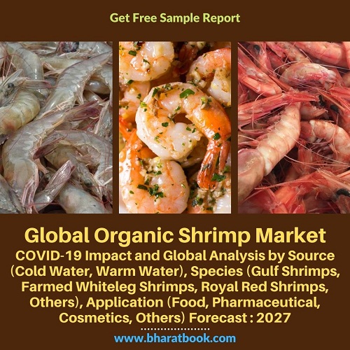Global Organic Shrimp Market - BBB