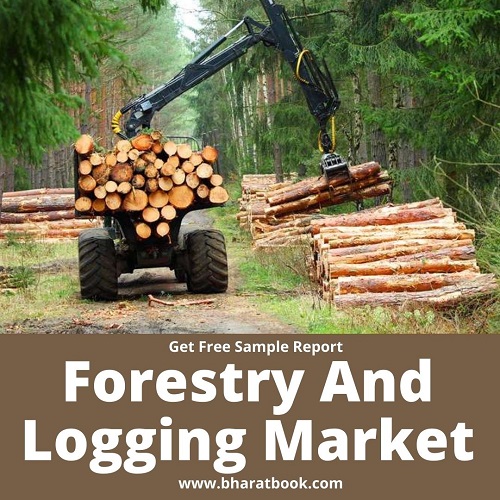 This image has an empty alt attribute; its file name is forestry-and-logging-jpg.jpg