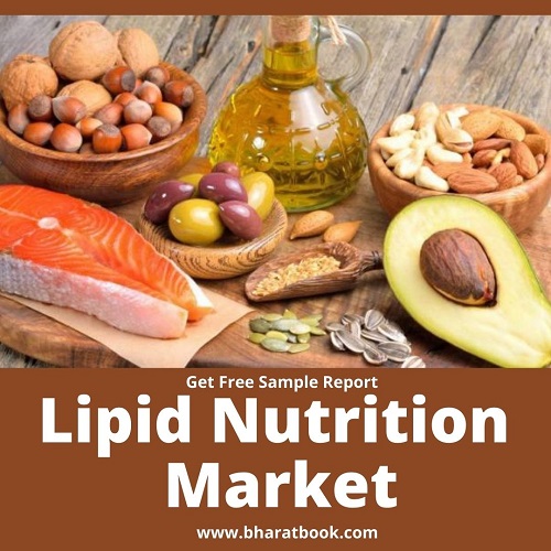 This image has an empty alt attribute; its file name is lipid-nutrition-jpg.jpg