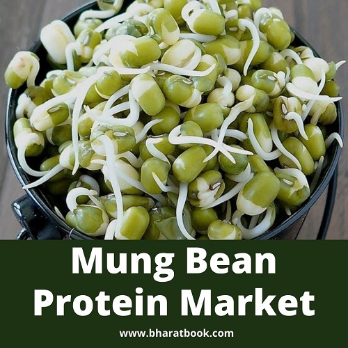 This image has an empty alt attribute; its file name is mung-bean-protein-jpg.jpg