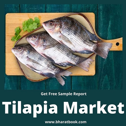 This image has an empty alt attribute; its file name is tilapia-jpg.jpg
